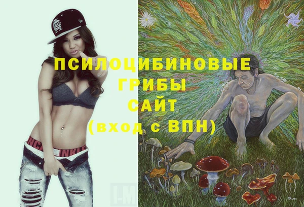 mdpv Усмань