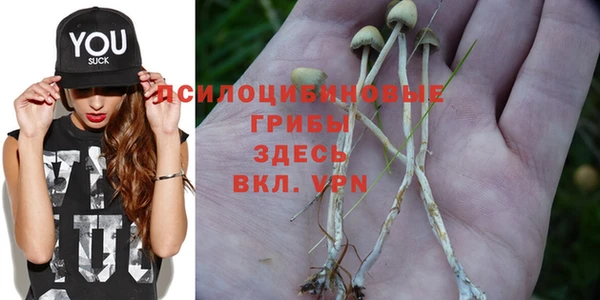 спайс Балабаново