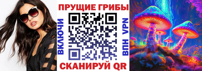 Псилоцибиновые грибы Cubensis Шарья